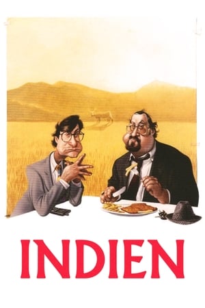 Indien - der Film