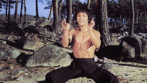Bruce and Shaolin Kung Fu háttérkép