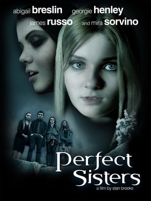 Perfect Sisters poszter