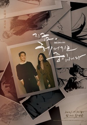 지금, 헤어지는 중입니다