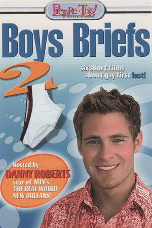 Boys Briefs 2 poszter