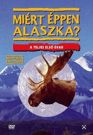 Miért éppen Alaszka?