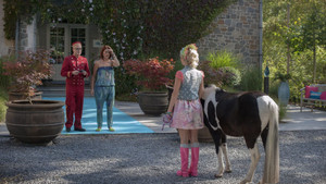 K3: Dierenhotel háttérkép