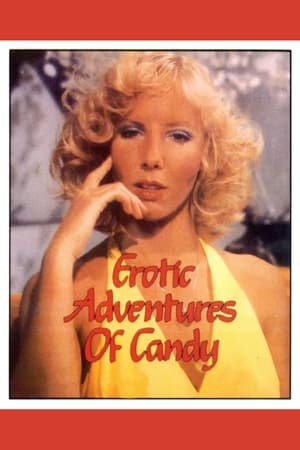 Erotic Adventures of Candy poszter