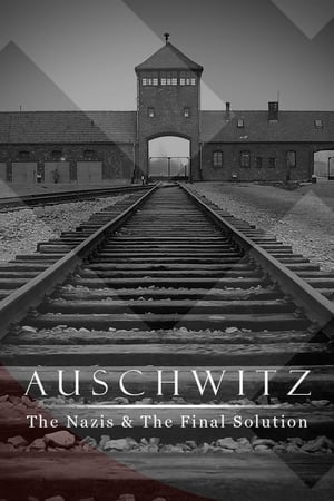 Auschwitz: A nácik végső megoldása