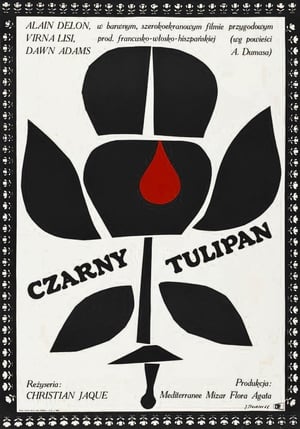 A fekete tulipán poszter