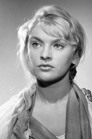 Danuta Starczewska profil kép