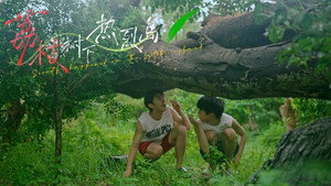 荔枝树下热烈岛 kép