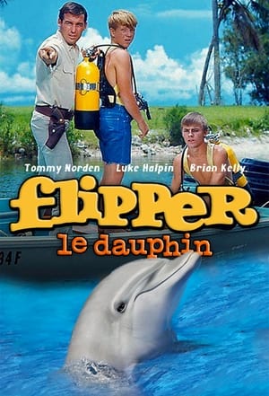 Flipper poszter