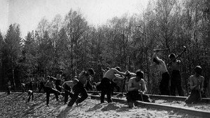 Путёвка в жизнь háttérkép