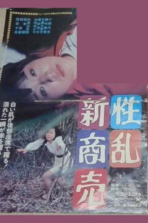 性乱新商売 poszter