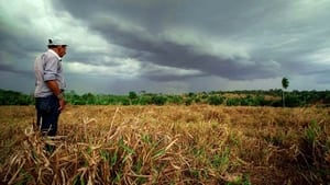 Transamazônica: Uma Estrada para o Passado kép