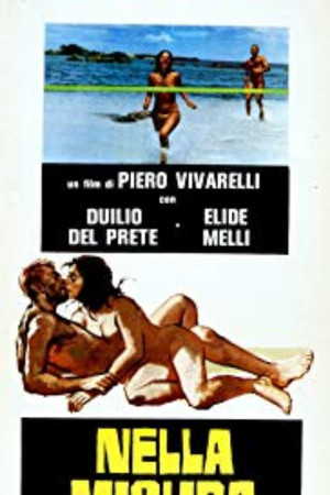 Nella misura in cui... poszter