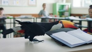 O Livro dos Prazeres háttérkép