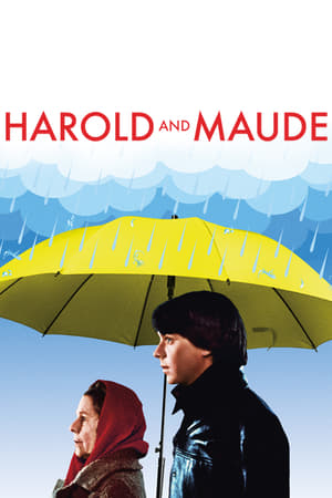 Harold és Maude poszter