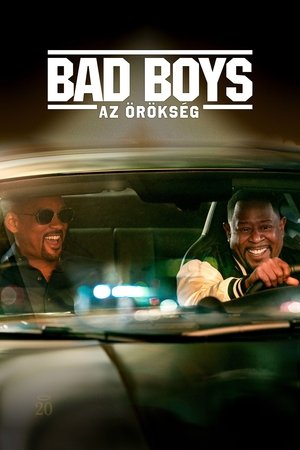 Bad Boys: Örökség
