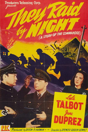 They Raid by Night poszter