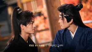 紫陌红尘 kép