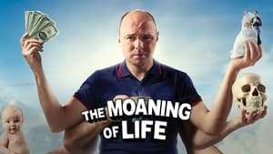 The Moaning of Life kép