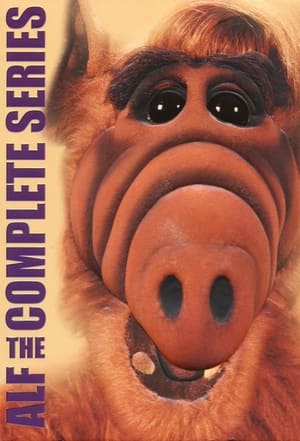 ALF poszter