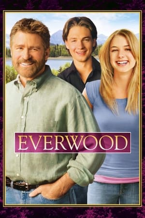 Everwood poszter