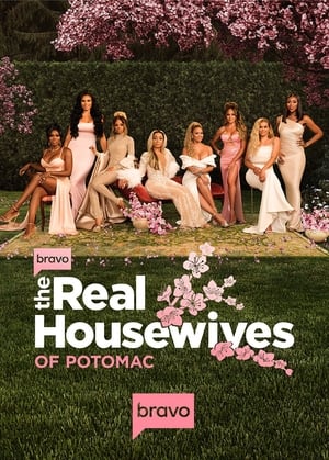 The Real Housewives of Potomac poszter