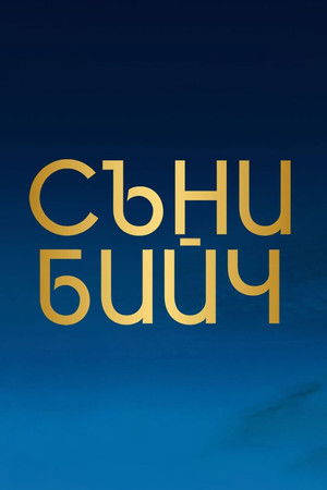 Съни бийч poszter