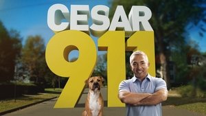Tárcsázza Cesar Millant! kép