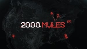 2000 Mules háttérkép