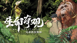 生命奇观 1. évad Ep.2 2. epizód