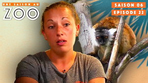 Une saison au zoo Season 6 Ep.22 22. epizód