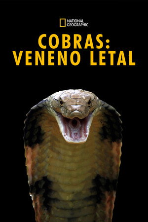 Killer Snakes poszter