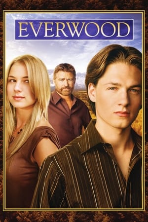 Everwood poszter