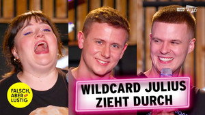 Falsch, aber lustig 5. évad Ep.13 13. epizód