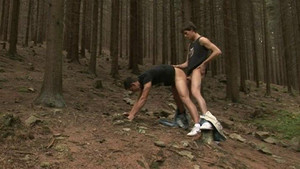 Boys in the Woods háttérkép