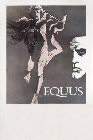 Equus poszter