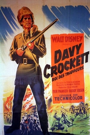 Davy Crockett, a vadnyugat királya poszter