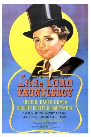 Little Lord Fauntleroy poszter