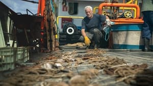 Ismeretlen vizeken Jeremy Wade-del kép