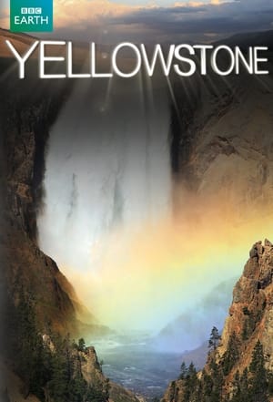 Yellowstone poszter