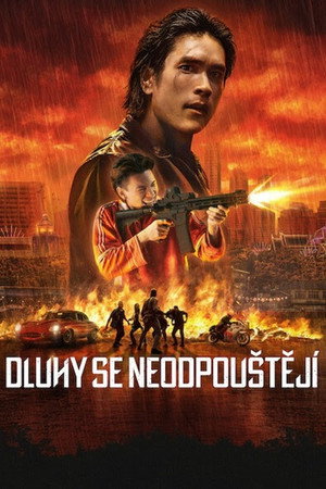 A behajtó poszter