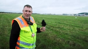 Britain's Busiest Airport: Heathrow 6. évad Ep.10 10. epizód