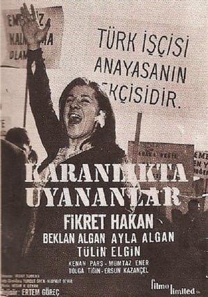 Karanlıkta Uyananlar poszter