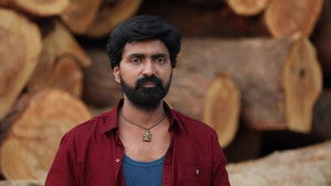 சின்னதம்பி Season 1 Ep.118 118. epizód