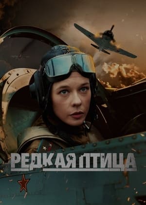 Редкая птица poszter