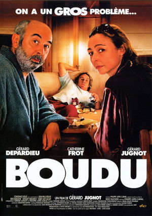 Bomlott Boudu beköltözött poszter
