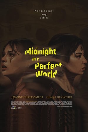 Midnight in a Perfect World poszter