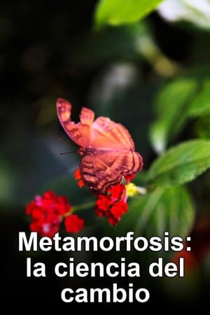 Metamorphosis: The Science of Change poszter