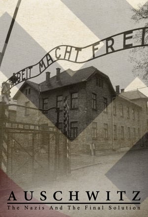 Auschwitz: A nácik végső megoldása poszter