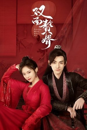 双面赘婿